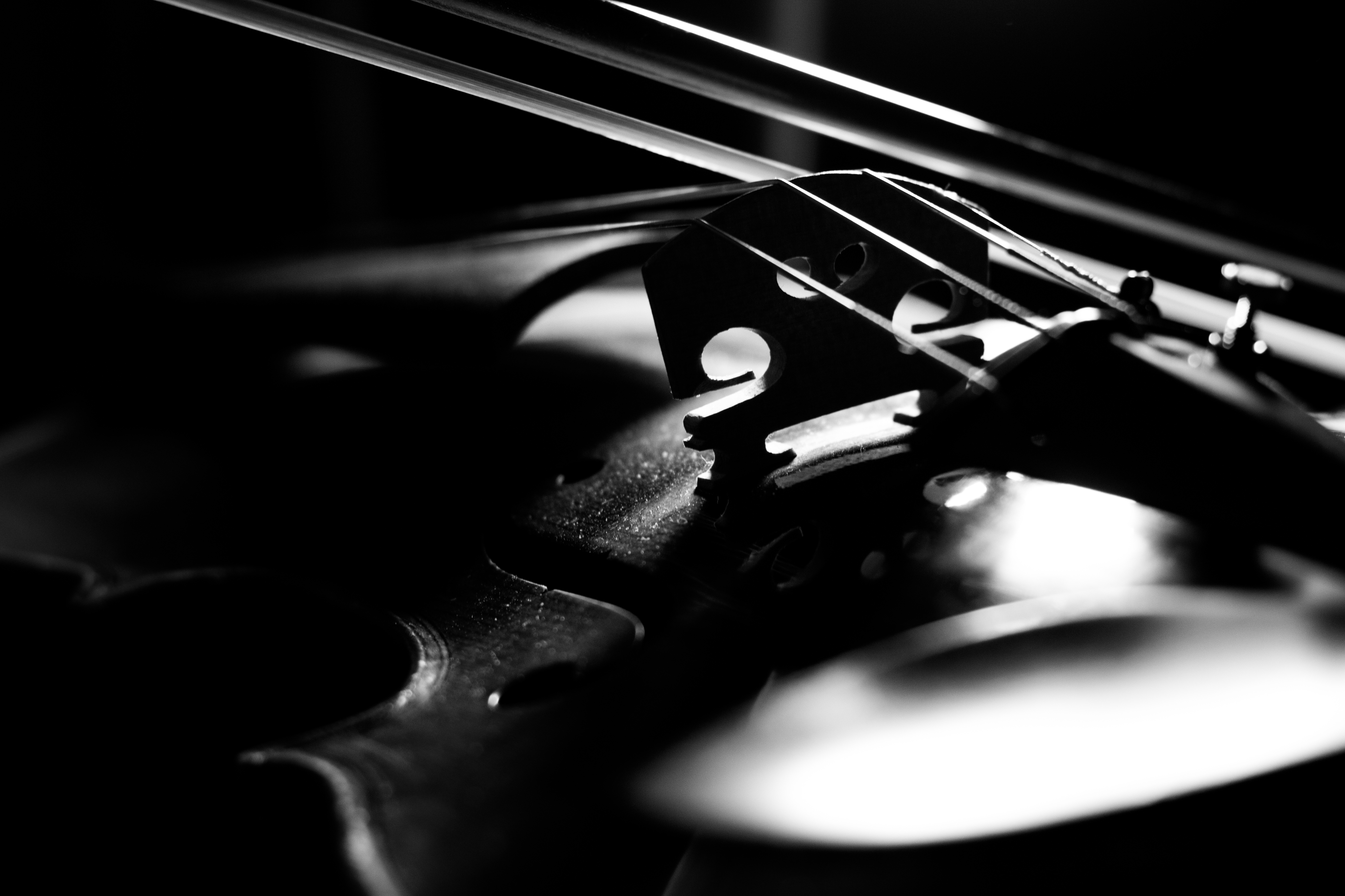 picture of violin