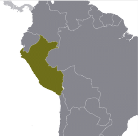 map of a South American country on the Pacific